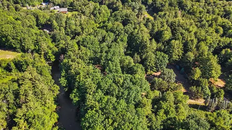 View/Area - 1091 N River Trl, White Cloud, MI 49349 photo 4 of 4
