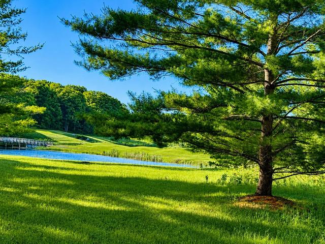 8988 Rambling Way #24, Canadian Lakes, MI 49346