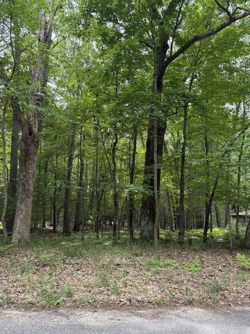 lot127 Wayne Rd, Pentwater, MI 49449