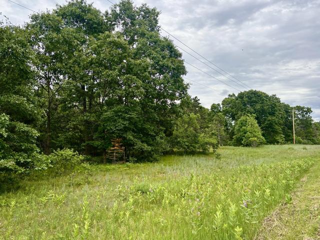 V/l Whitehall Rd, Whitehall, MI 49461