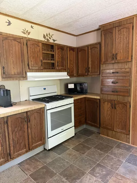 9034 E M 20, Hesperia, MI 49421 photo 19