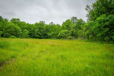 8183 W Lincoln St, Bitely, MI 49309