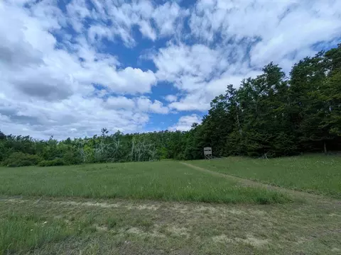 4439 Kuzmik Rd, Boyne Falls, MI 49713
