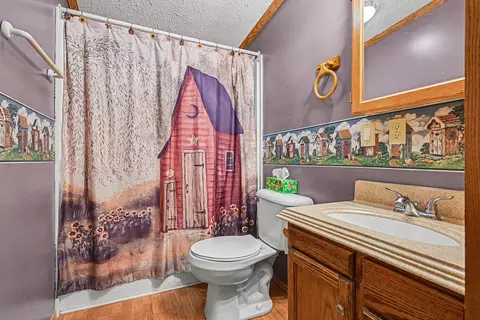 Bath - 13191 Harder Rd, Three Rivers, MI 49093 photo 3 of 4