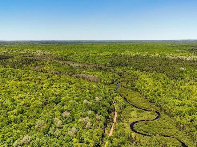 Federal Forest Highway 16, Iron River, MI 49935