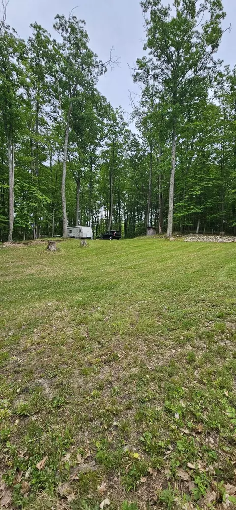 10527 Wampum Trl, Evart, MI 49631