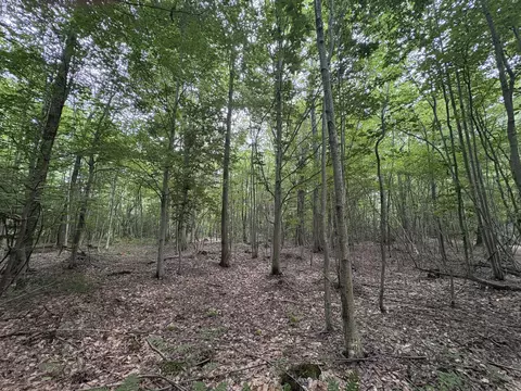 109 Th Ave, Pullman, MI 49450 photo 5