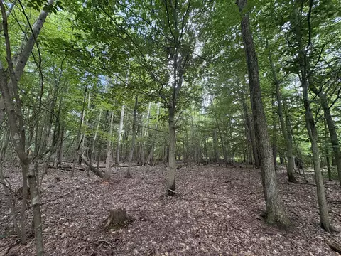 109 Th Ave, Pullman, MI 49450 photo 2