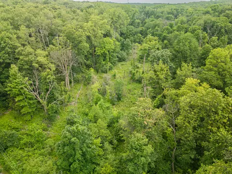 View/Area - 989 Mccabe Ave NE, Ada, MI 49301 photo 5 of 10
