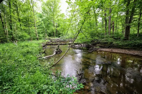 Vl Black River Rd, Bangor, MI 49013