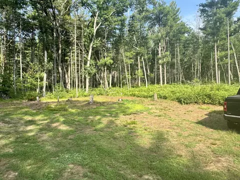 8338 E Wilderness Trl, White Cloud, MI 49349 photo 12