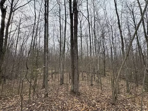 Other - 1734 N Galbraith Rd, Mio, MI 48647 photo 14 of 44
