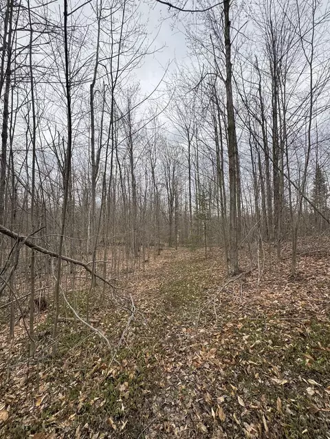 Other - 1734 N Galbraith Rd, Mio, MI 48647 photo 13 of 44