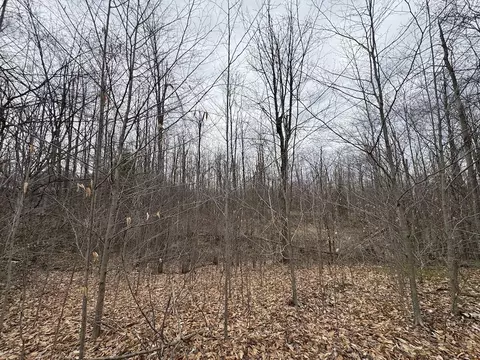 Other - 1734 N Galbraith Rd, Mio, MI 48647 photo 12 of 44