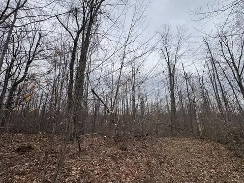 Exterior - 1734 N Galbraith Rd, Mio, MI 48647 photo 39 of 53