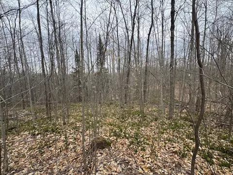 Other - 1734 N Galbraith Rd, Mio, MI 48647 photo 15 of 44