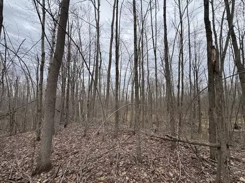 Other - 1734 N Galbraith Rd, Mio, MI 48647 photo 18 of 44
