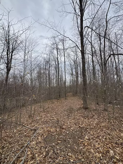 Other - 1734 N Galbraith Rd, Mio, MI 48647 photo 11 of 44