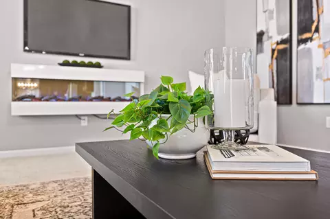 Living - 286 Springview St, Ann Arbor, MI 48103 photo 3 of 3