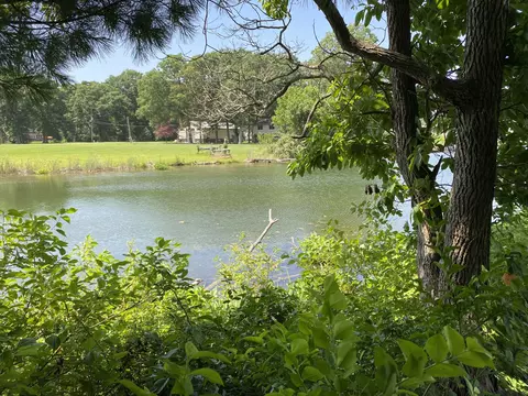 69050 Island Dr, Edwardsburg, MI 49112