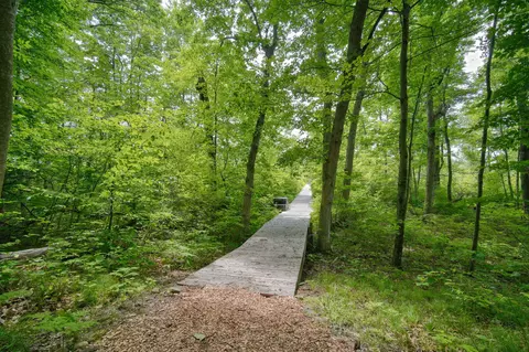 7003 Sanctuary Dr, Jackson, MI 49201 photo 18