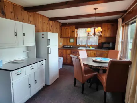 6176 S Hamlin Cir, Baldwin, MI 49304 photo 11