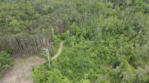 View/Area - 1692 N Galbraith Rd, Mio, MI 48647 photo 5 of 6