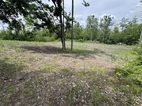 Exterior - 1692 N Galbraith Rd, Mio, MI 48647 photo 16 of 27
