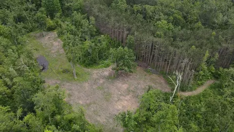 View/Area - 1692 N Galbraith Rd, Mio, MI 48647 photo 6 of 6
