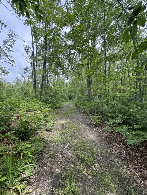 Other - 1692 N Galbraith Rd, Mio, MI 48647 photo 11 of 35