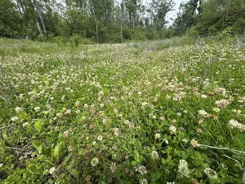 Other - 1692 N Galbraith Rd, Mio, MI 48647 photo 3 of 35
