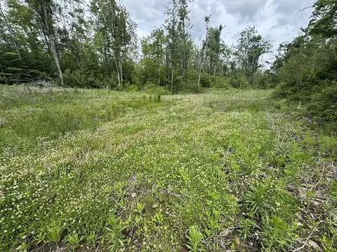 Other - 1692 N Galbraith Rd, Mio, MI 48647 photo 2 of 35