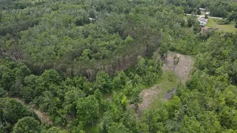 View/Area - 1692 N Galbraith Rd, Mio, MI 48647 photo 3 of 6