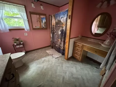 Bath - 1692 N Galbraith Rd, Mio, MI 48647 photo 3 of 3