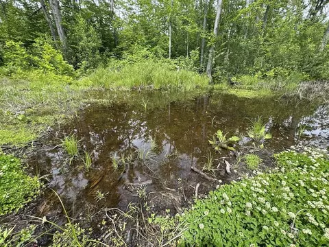 View/Area - 1692 N Galbraith Rd, Mio, MI 48647 photo 2 of 6