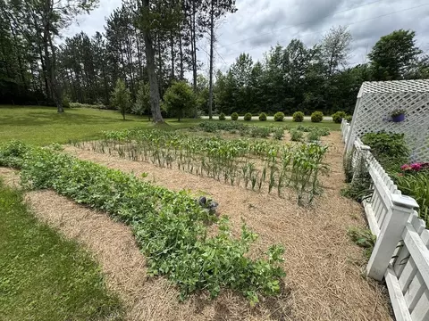 Exterior - 1692 N Galbraith Rd, Mio, MI 48647 photo 9 of 27