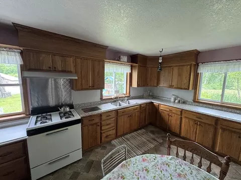 Kitchen - 1692 N Galbraith Rd, Mio, MI 48647 photo 3 of 3