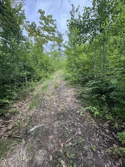 Other - 1692 N Galbraith Rd, Mio, MI 48647 photo 12 of 35