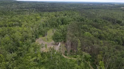 View/Area - 1692 N Galbraith Rd, Mio, MI 48647 photo 4 of 6