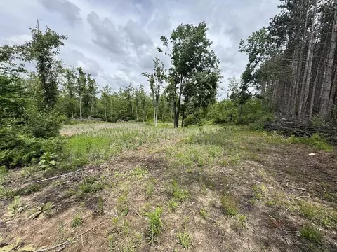Exterior - 1692 N Galbraith Rd, Mio, MI 48647 photo 15 of 27
