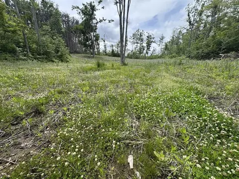 Other - 1692 N Galbraith Rd, Mio, MI 48647 photo 34 of 35