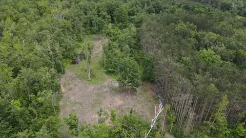 Other - 1692 N Galbraith Rd, Mio, MI 48647 photo 8 of 35