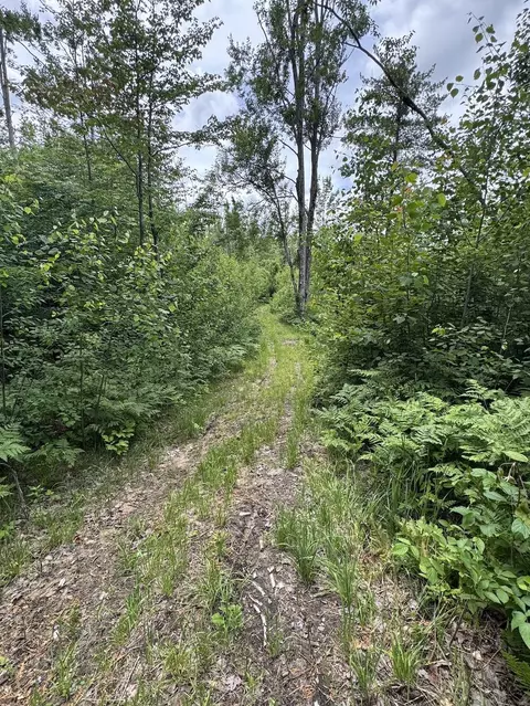 Other - 1692 N Galbraith Rd, Mio, MI 48647 photo 35 of 35