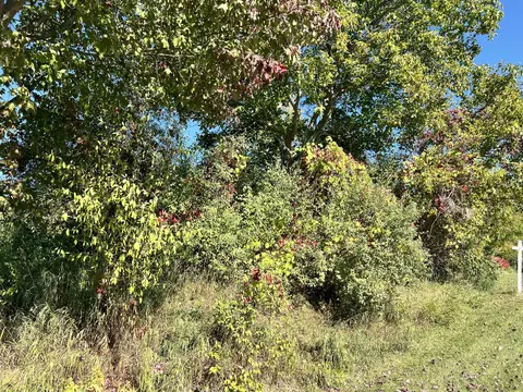lot108 Stella St, Custer, MI 49405 photo 8