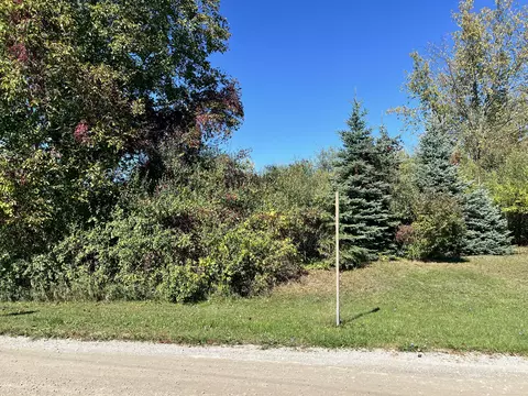 lot108 Stella St, Custer, MI 49405 photo 3