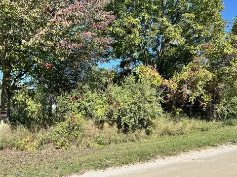 lot108 Stella St, Custer, MI 49405 photo 10