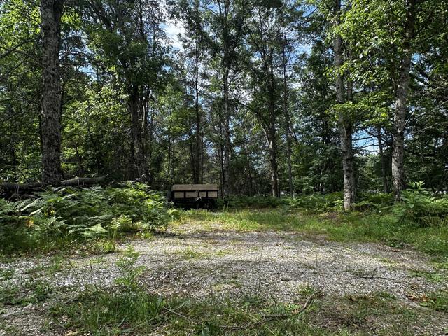 Vl W Airpark Drive, Luther, MI 49656
