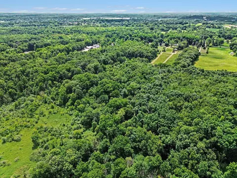 View/Area - 4794 Seymour Rd, Jackson, MI 49201 photo 8 of 21