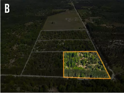 Parcel B Makinen Road, Kaleva, MI 49645