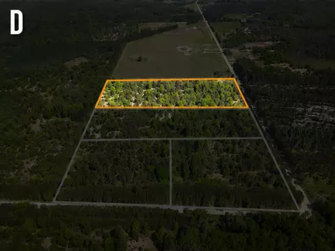 Parcel D Niemi Road, Kaleva, MI 49645